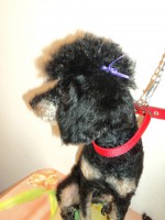 /album/fotos/de-todo-105-jpg/